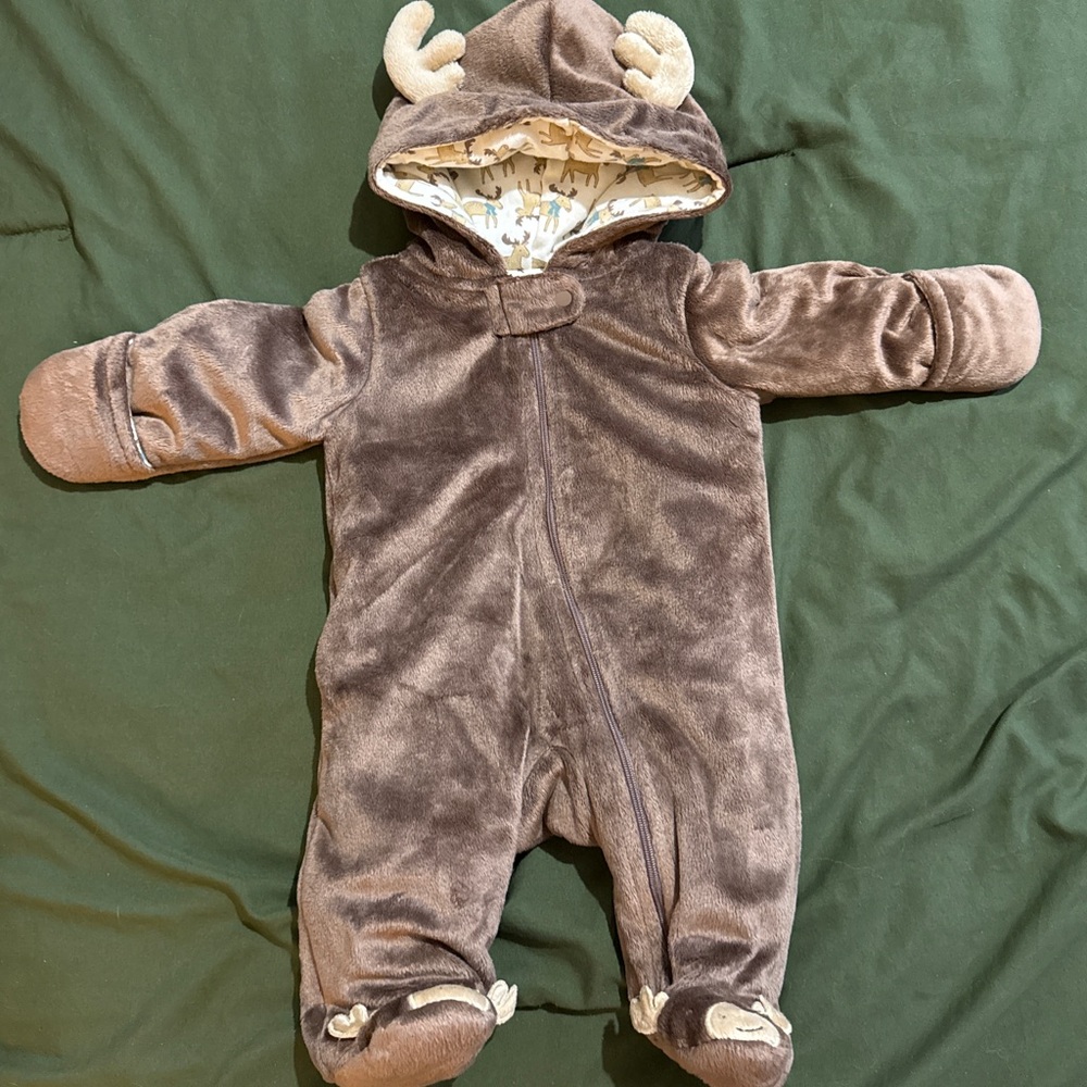 Newborn winter bunting